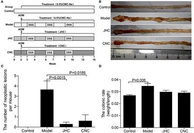Nuclear Magnetic Resonance-Based Metabolomics Approach to Evaluate the Prevention Effect of <mark class="highlighted">Camellia</mark> nitidissima Chi on Colitis-Associated Carcinogenesis